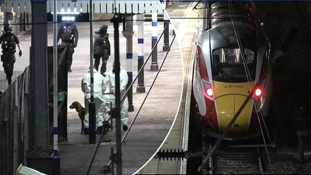 WhatsApp Image 2025 11 02 at 084118