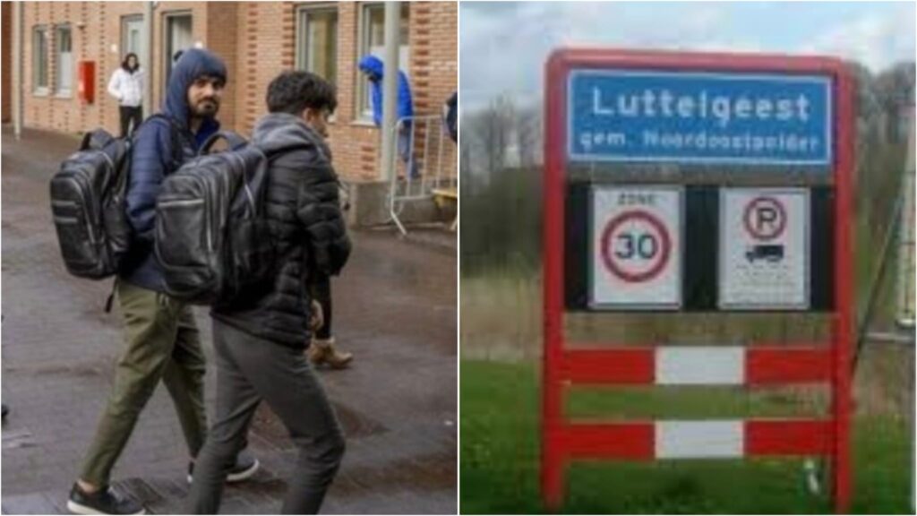 WhatsApp Image 2025 11 05 at 095608 - Dagelijkse Feitjes WhatsApp Image 2025 11 05 at 095608