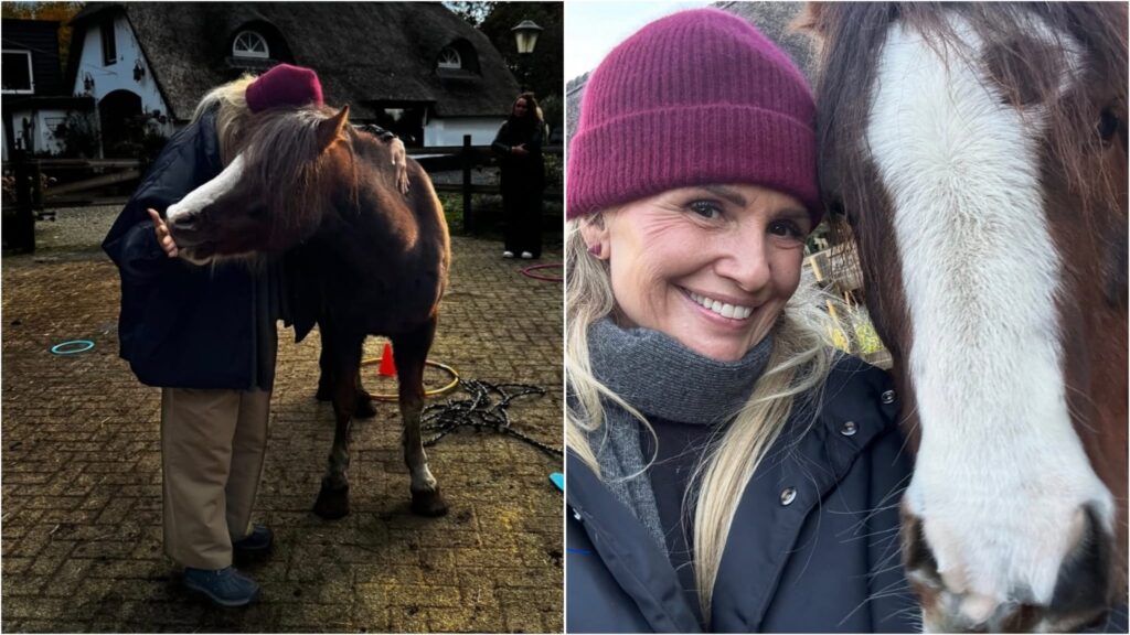 WhatsApp Image 2025 11 07 at 082249 1 - Dagelijkse Feitjes WhatsApp Image 2025 11 07 at 082249 1