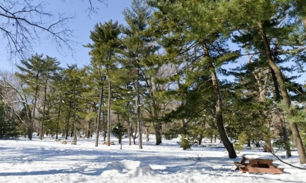 WhatsApp Image 2025 11 18 at 093905