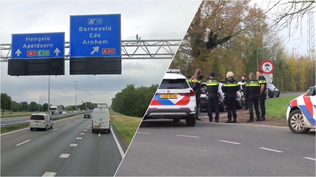 WhatsApp Image 2025 11 22 at 154614 - Dagelijkse Feitjes WhatsApp Image 2025 11 22 at 154614