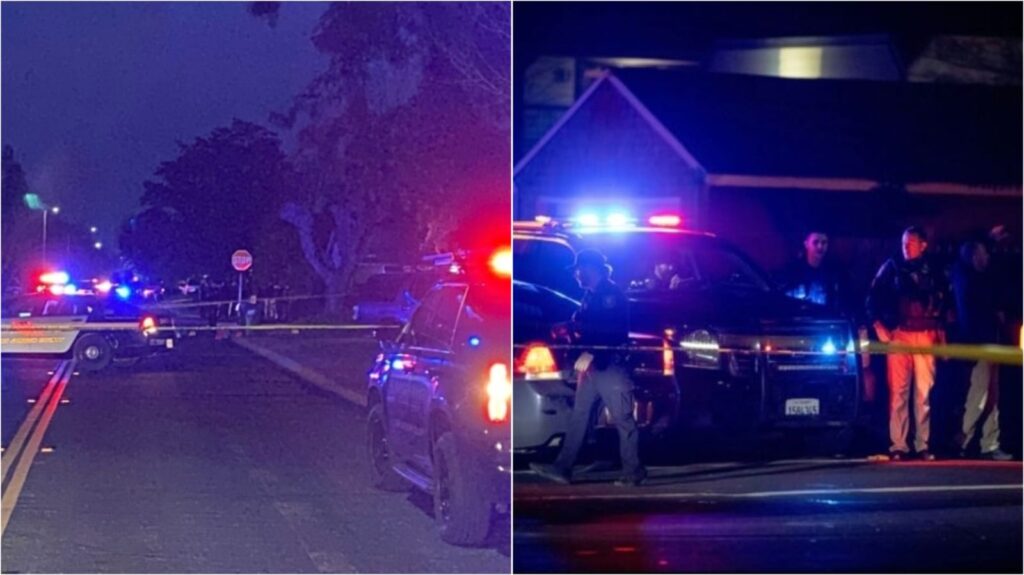 WhatsApp Image 2025 11 30 at 083503