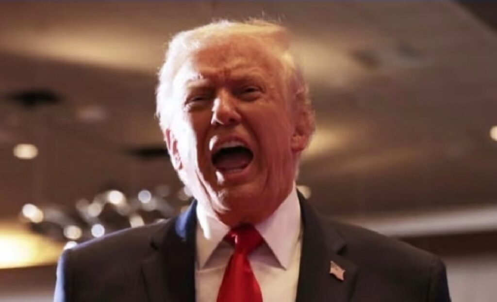 WhatsApp Image 2025 12 10 at 10.39.46