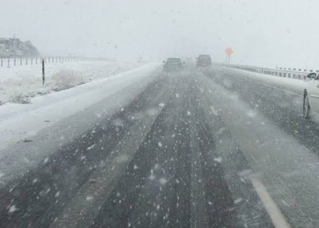 WhatsApp Image 2026 01 06 at 10.13.17