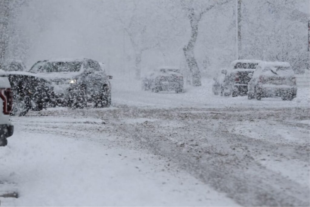 WhatsApp Image 2026 01 07 at 08.31.54