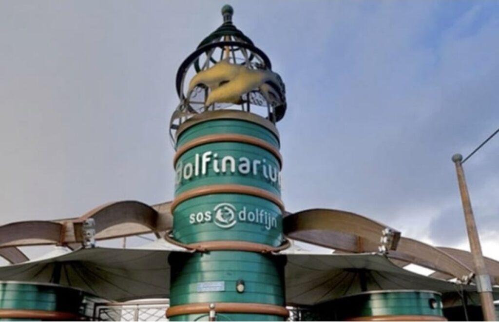 WhatsApp Image 2026 01 17 at 12.34.08