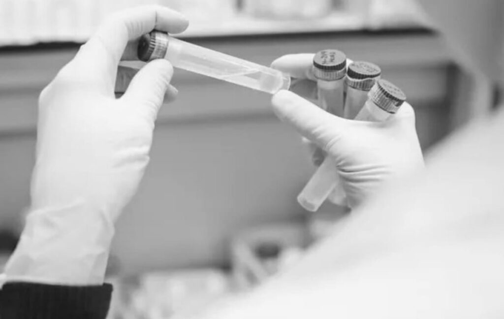 WhatsApp Image 2026 02 05 at 07.41.17