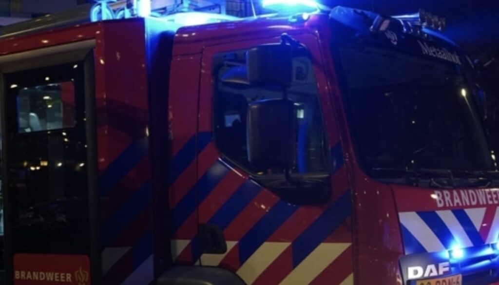 WhatsApp Image 2026 02 17 at 07.37.19